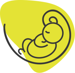 Crèche inclusive L'enfantTisSage gérée par L'enfantScop'.