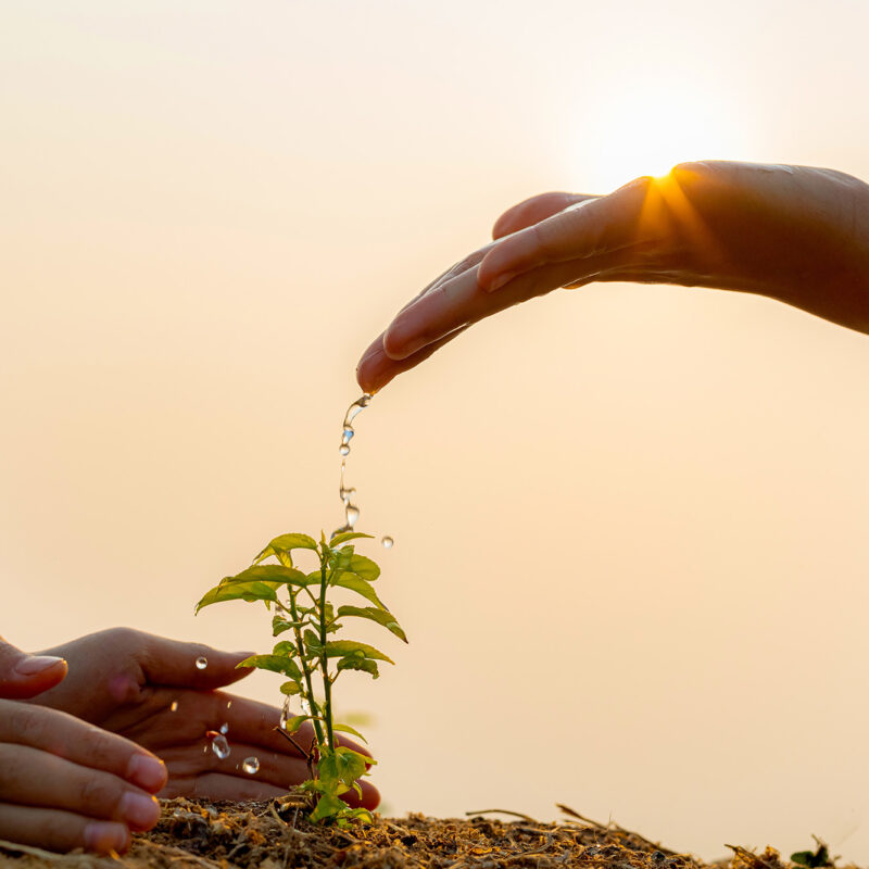 Inspirer l'éveil des enfants par le contact avec la nature et sensibiliser au développement durable dès le plus jeune âge.