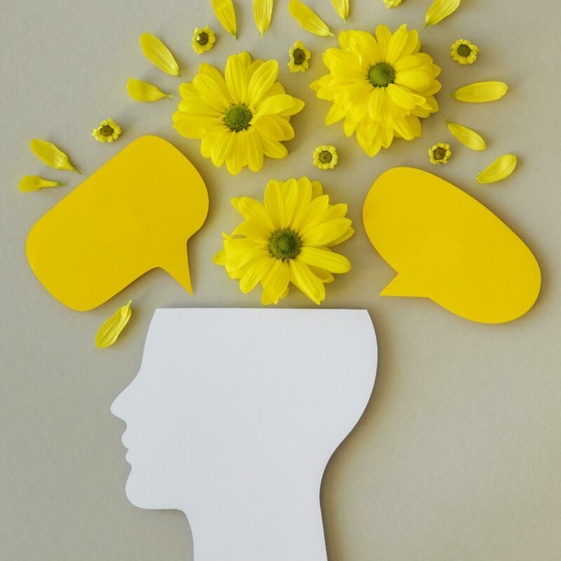 Comprendre et accompagner les émotions du jeune enfant à l'éclairage des neurosciences affectives.