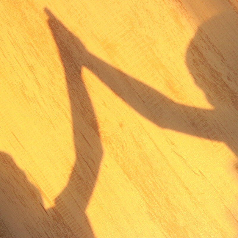 Comprendre l'agressivité et gérer les conflits (morsures, tensions) entre jeunes enfants en collectivité.